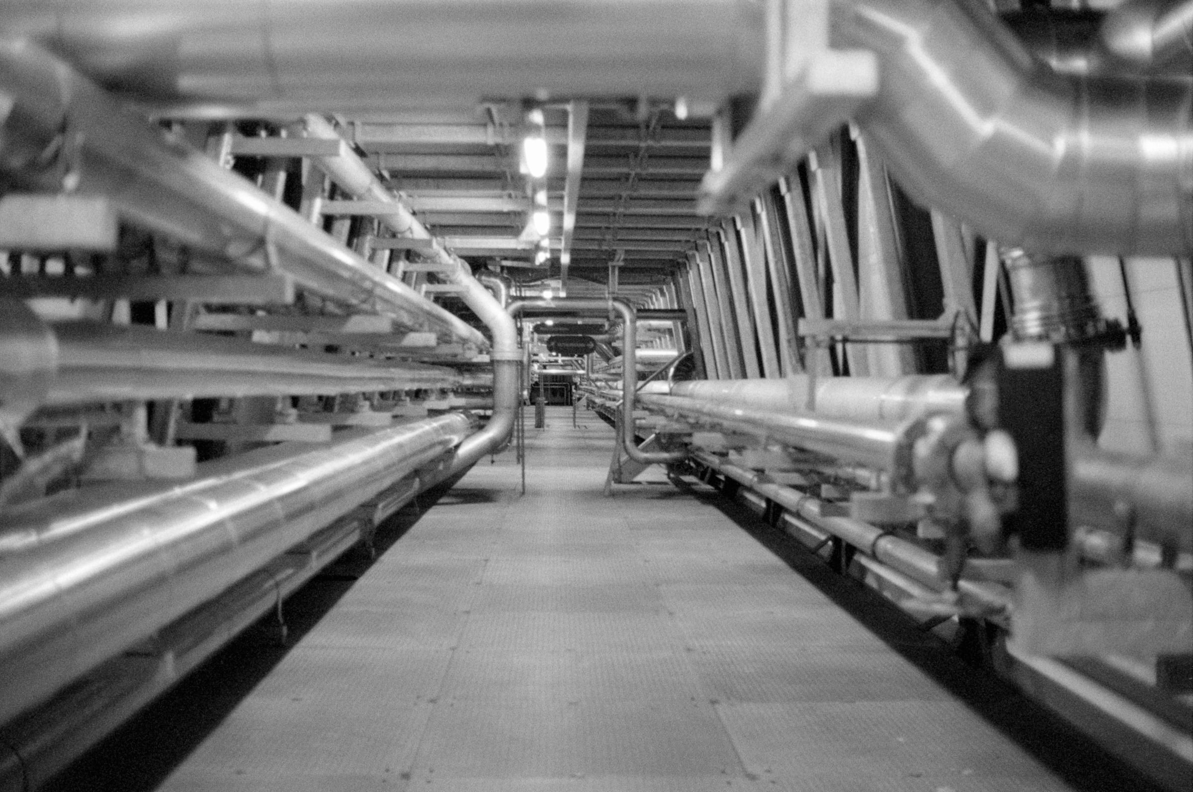 AHP F1994 11 004 sc250521 img16 NLP